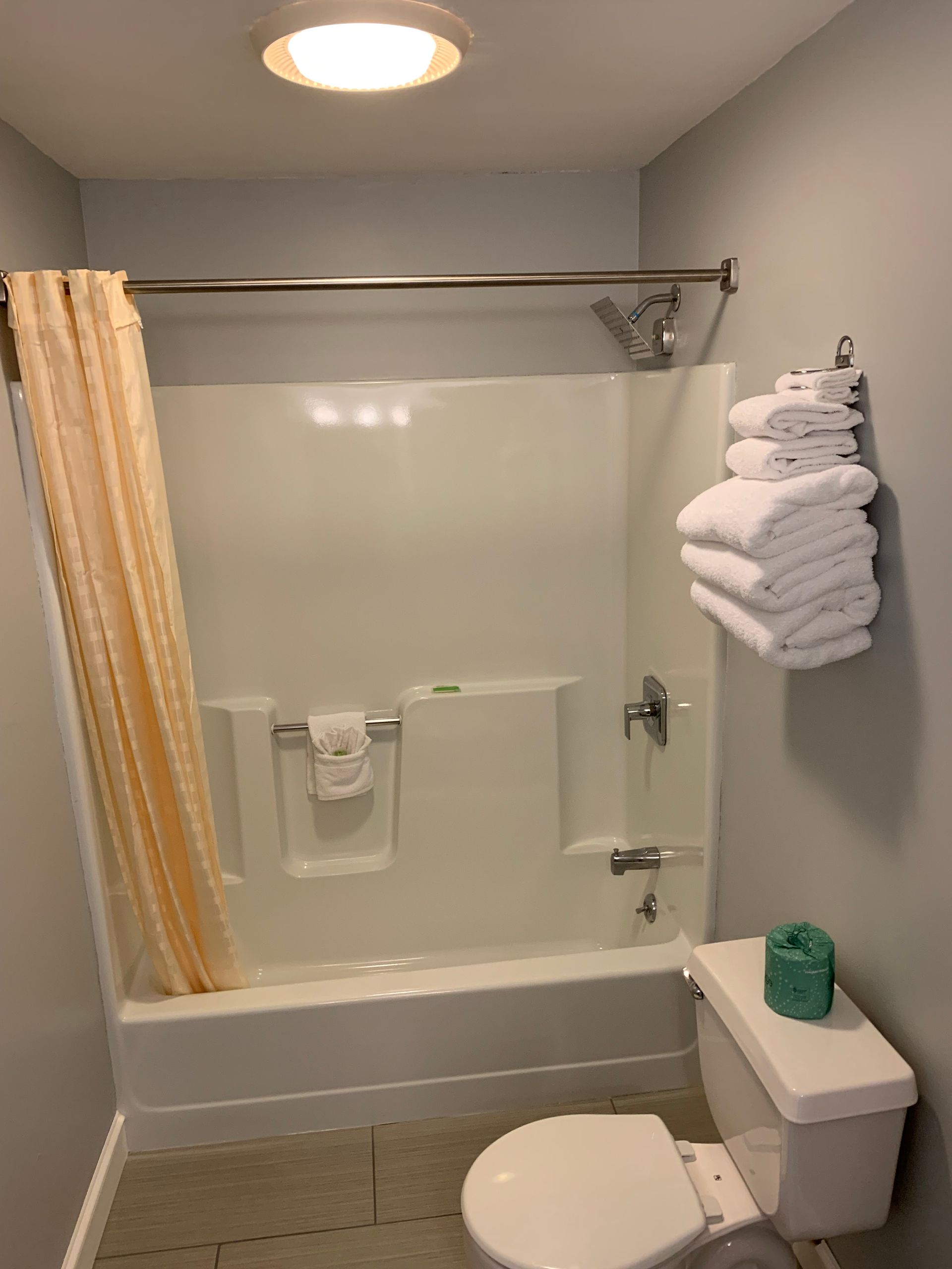 A bathroom with a toilet , bathtub and shower.