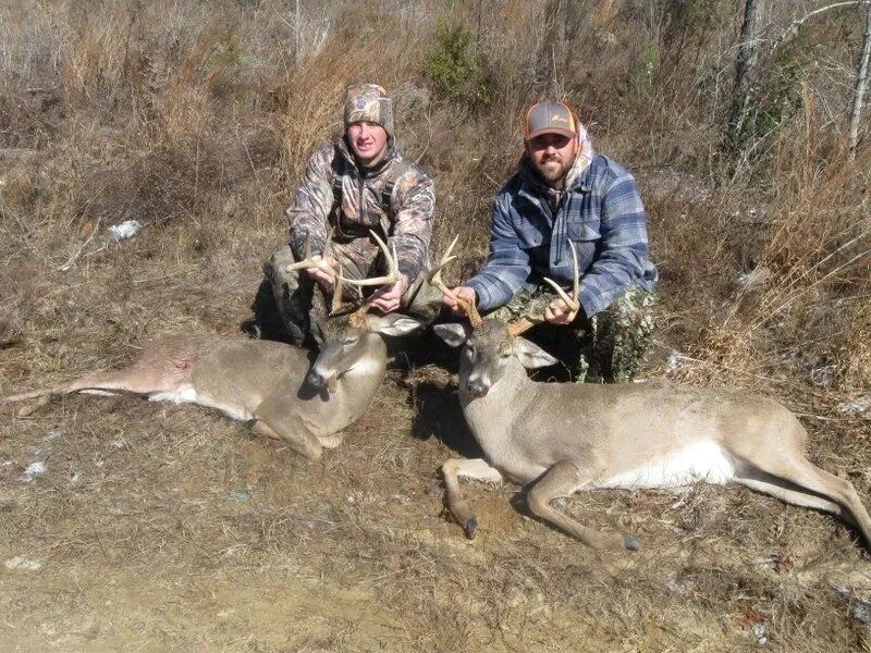 Two hunters kneel beside two deer in a dry brushy field.