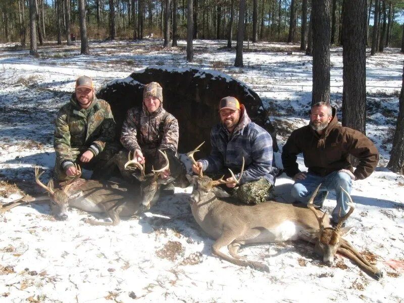 Four hunters kneeling behind a deer in a snowy pine forest, with another deer nearby.