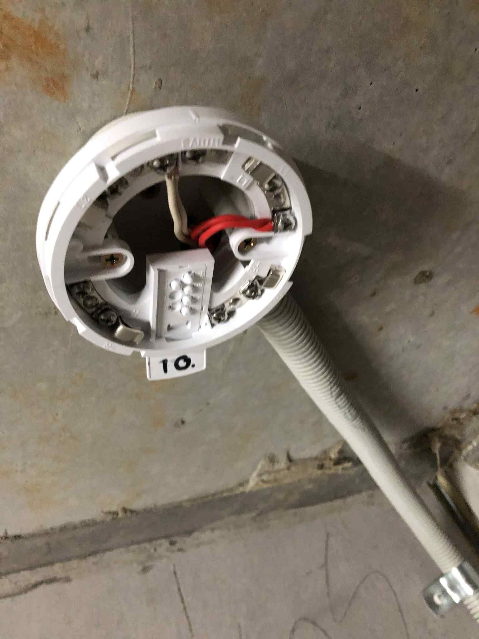 Round ceiling junction box with exposed live and neutral conductors during light fitting installation.