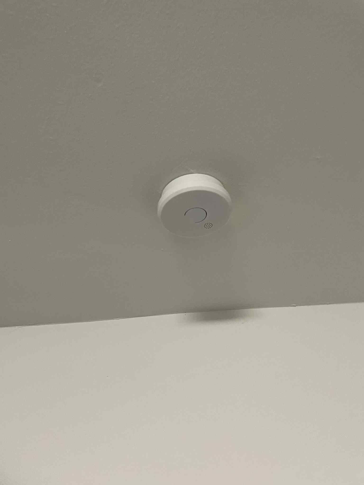 Ziesing Electrical technician installing a ceiling-mounted smoke detector