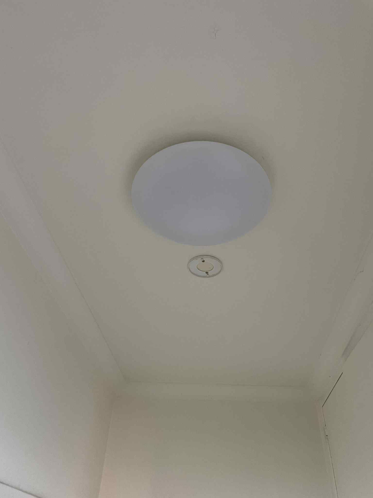 Ceiling downlight being installed by Ziesing Electrical technician