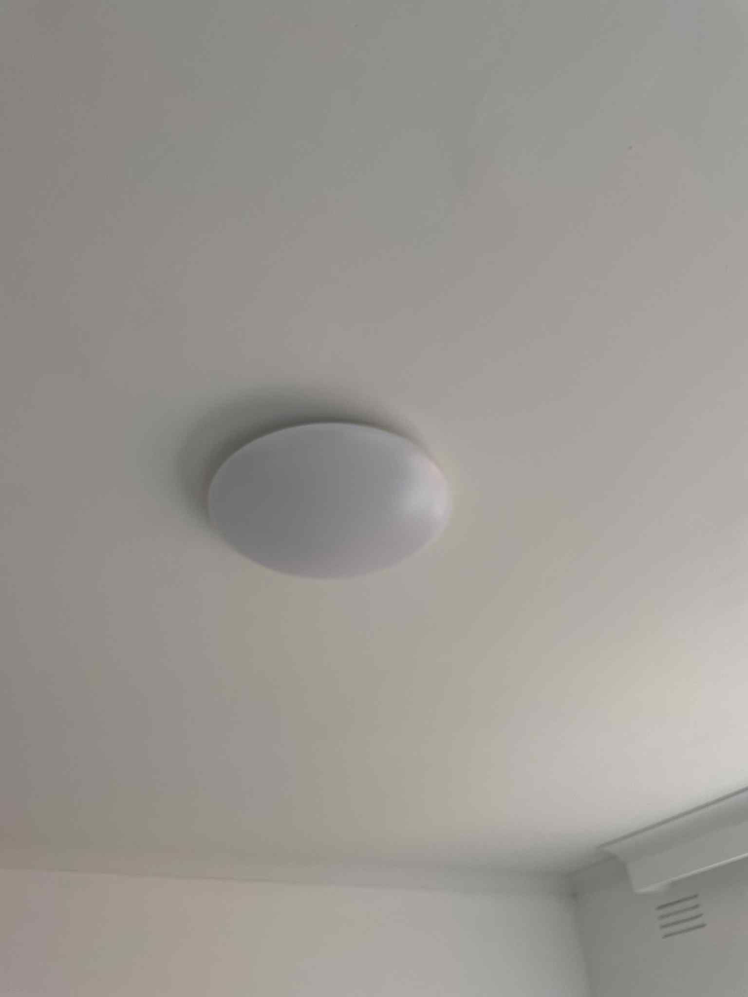 Electrician fitting ceiling rose