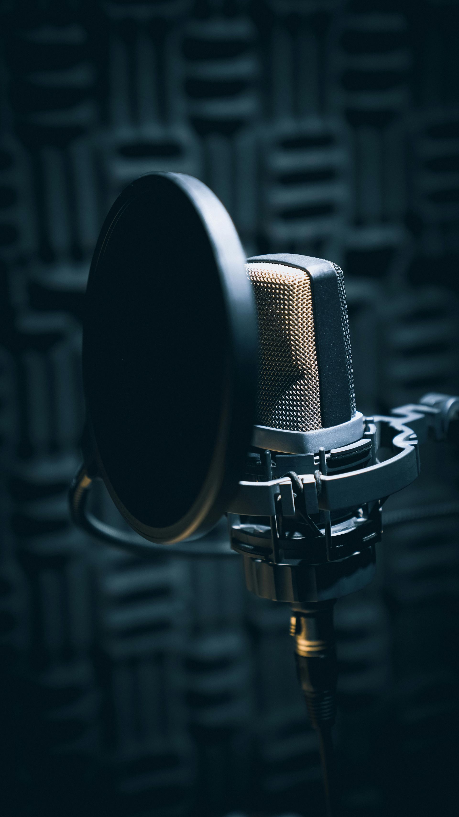Studio microphone with pop filter in a dark soundproof recording booth