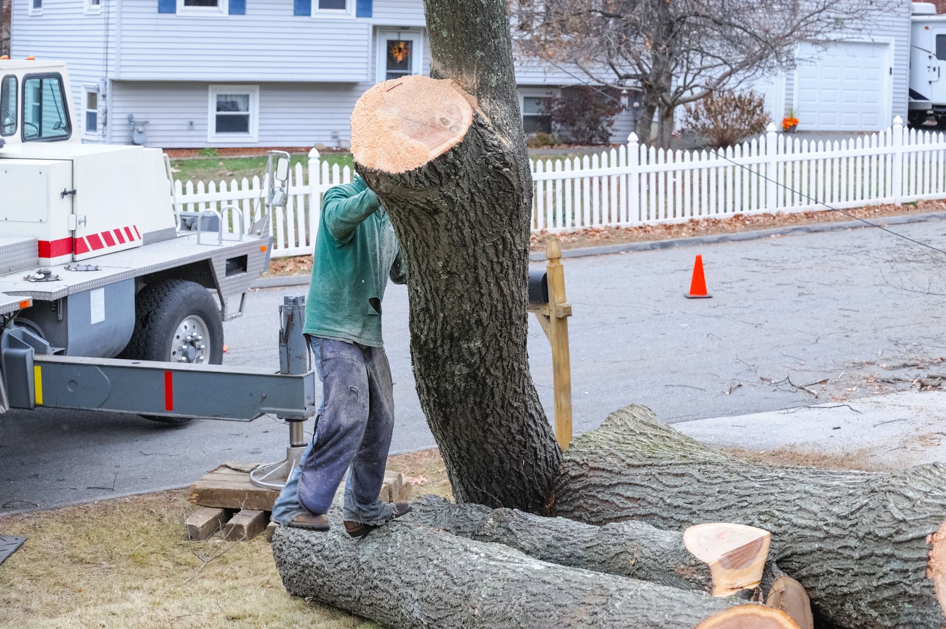Professional tree removal service technician cutting a large trunk near a crane in a suburb. Professional tree removal service technician cutting a large trunk near a crane in a suburb.