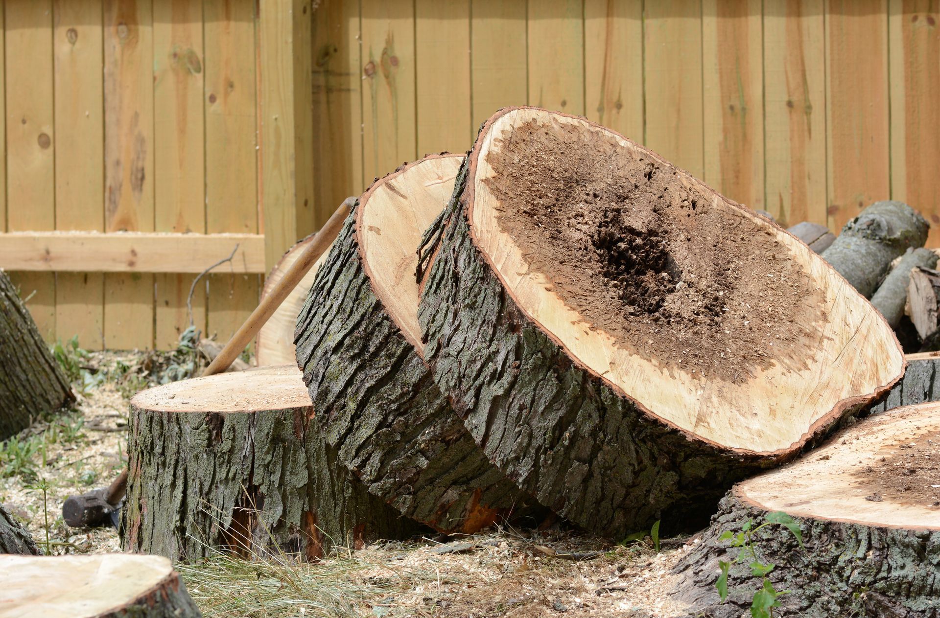 Close-up of a professional tree removal, revealing hidden, rotten tree center and wood fence behind. Close-up of a professional tree removal, revealing hidden, rotten tree center and wood fence behind.