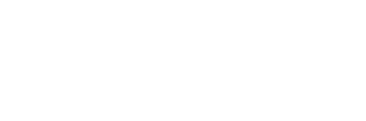 #INEED white logo