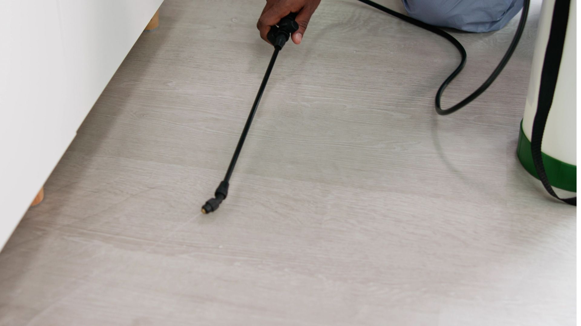 A person is spraying a carpet with a sprayer.