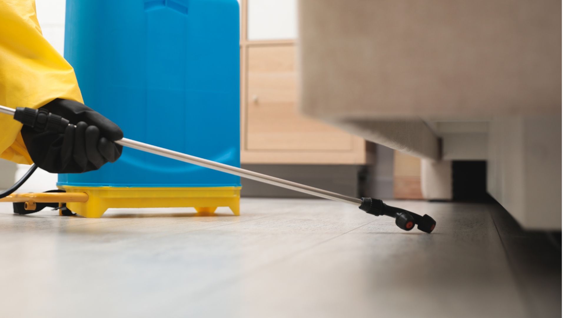 A person is spraying a couch with a sprayer.