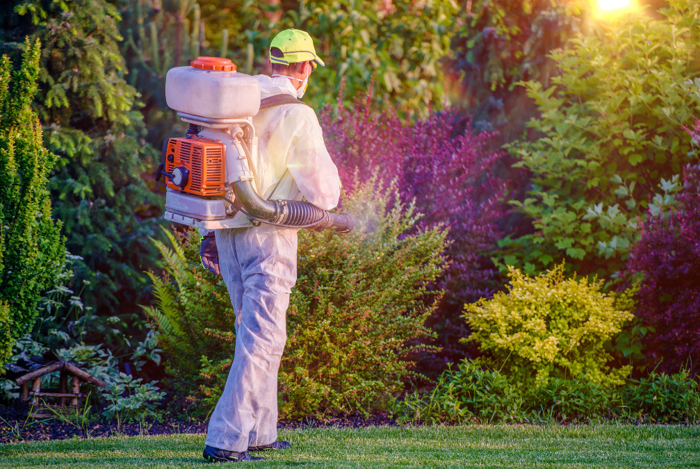 A person is spraying a carpet with a sprayer.