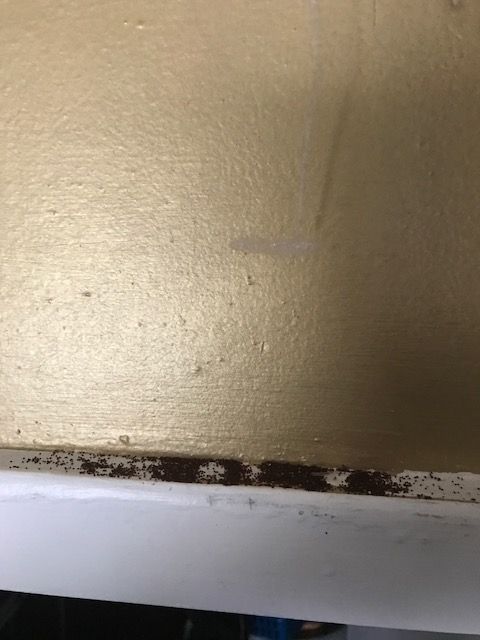 Brown and gold surface meets white edge; dark mold visible at the seam.