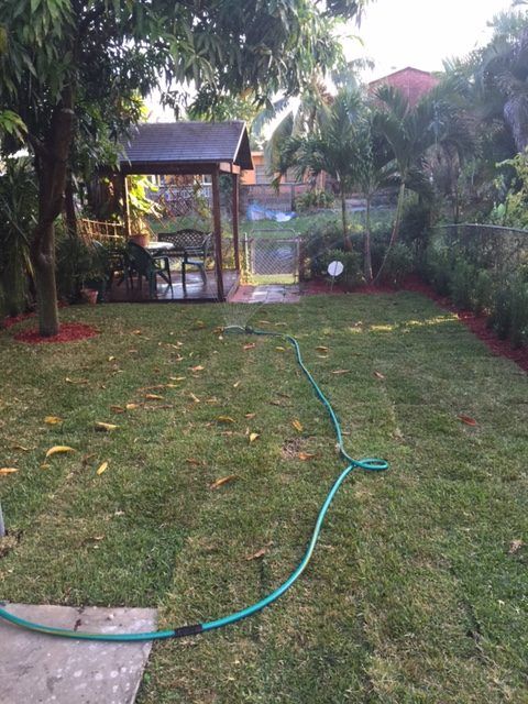 Green lawn with a hose, shed, and a gated backyard.