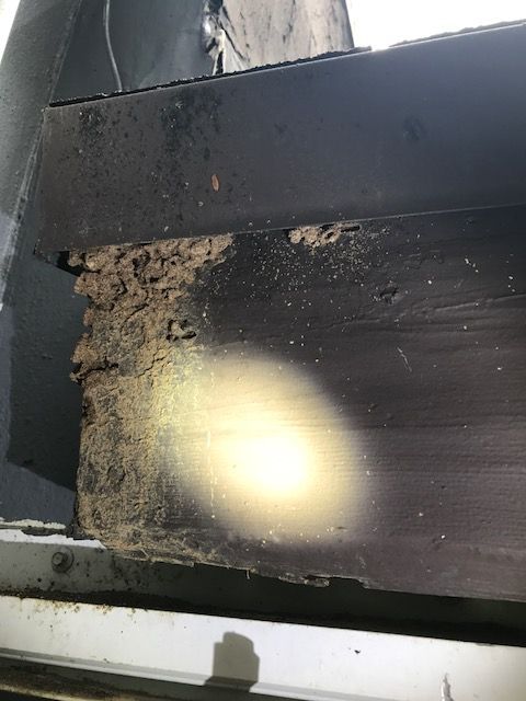 Close-up of a damaged, black wooden structure with termite infestation, showing visible wood rot and debris.