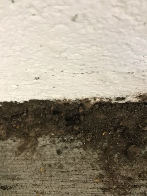 Close-up of a painted white wall with dark debris along a concrete surface.