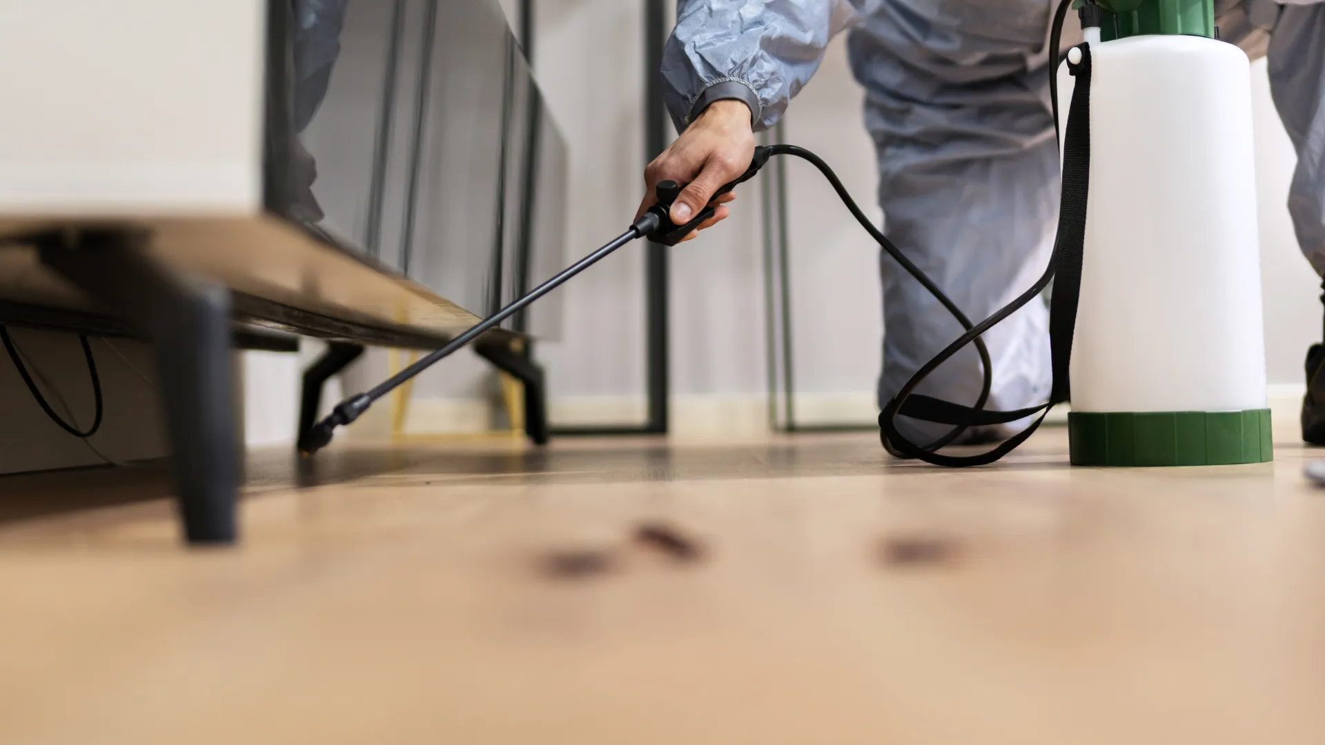 A person is spraying a couch with a sprayer.