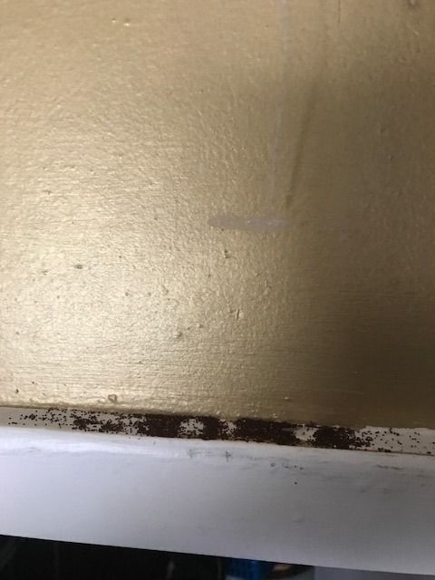 termite pest control