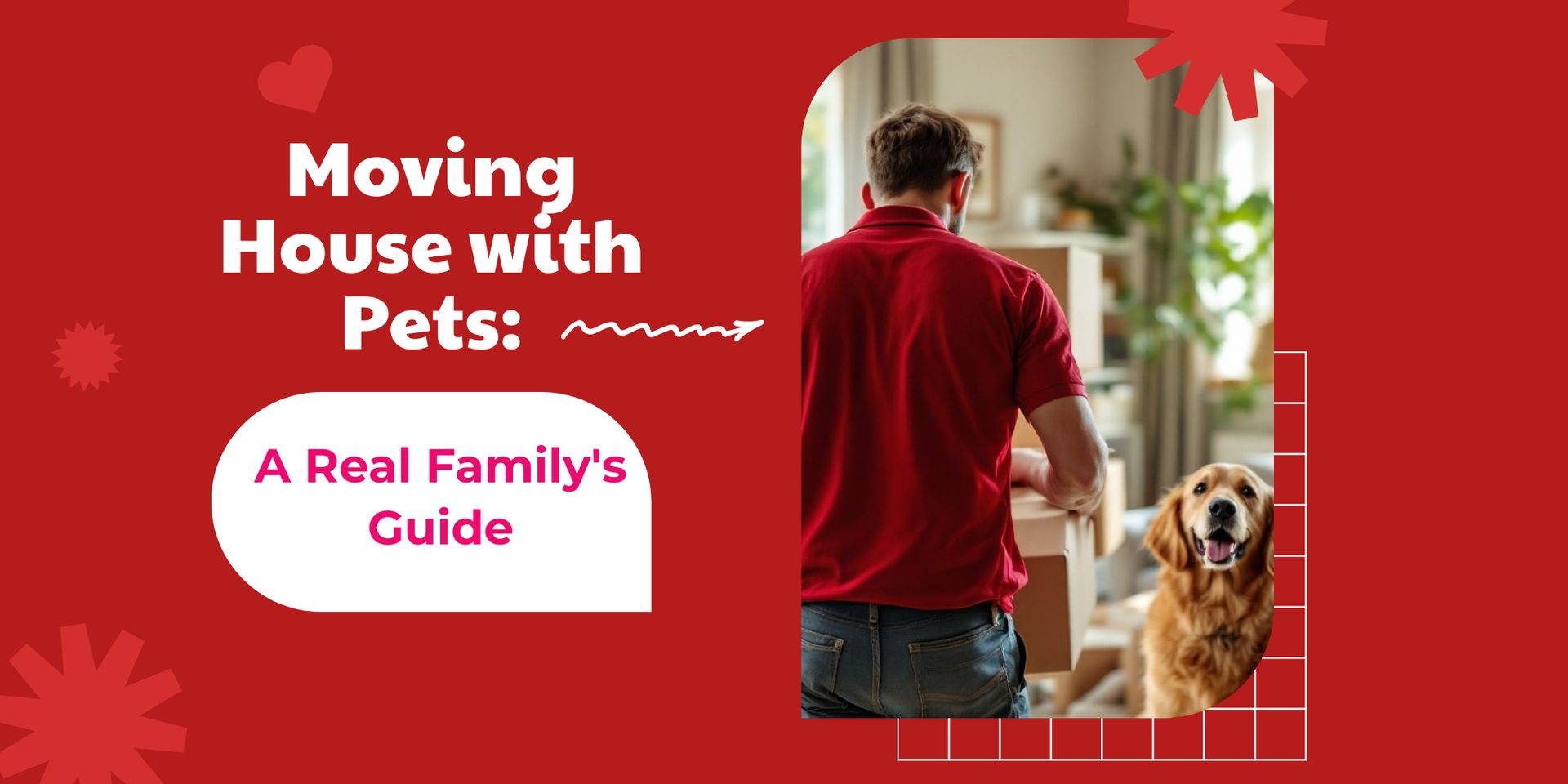 Moving House with Pets: A Real Family's Guide