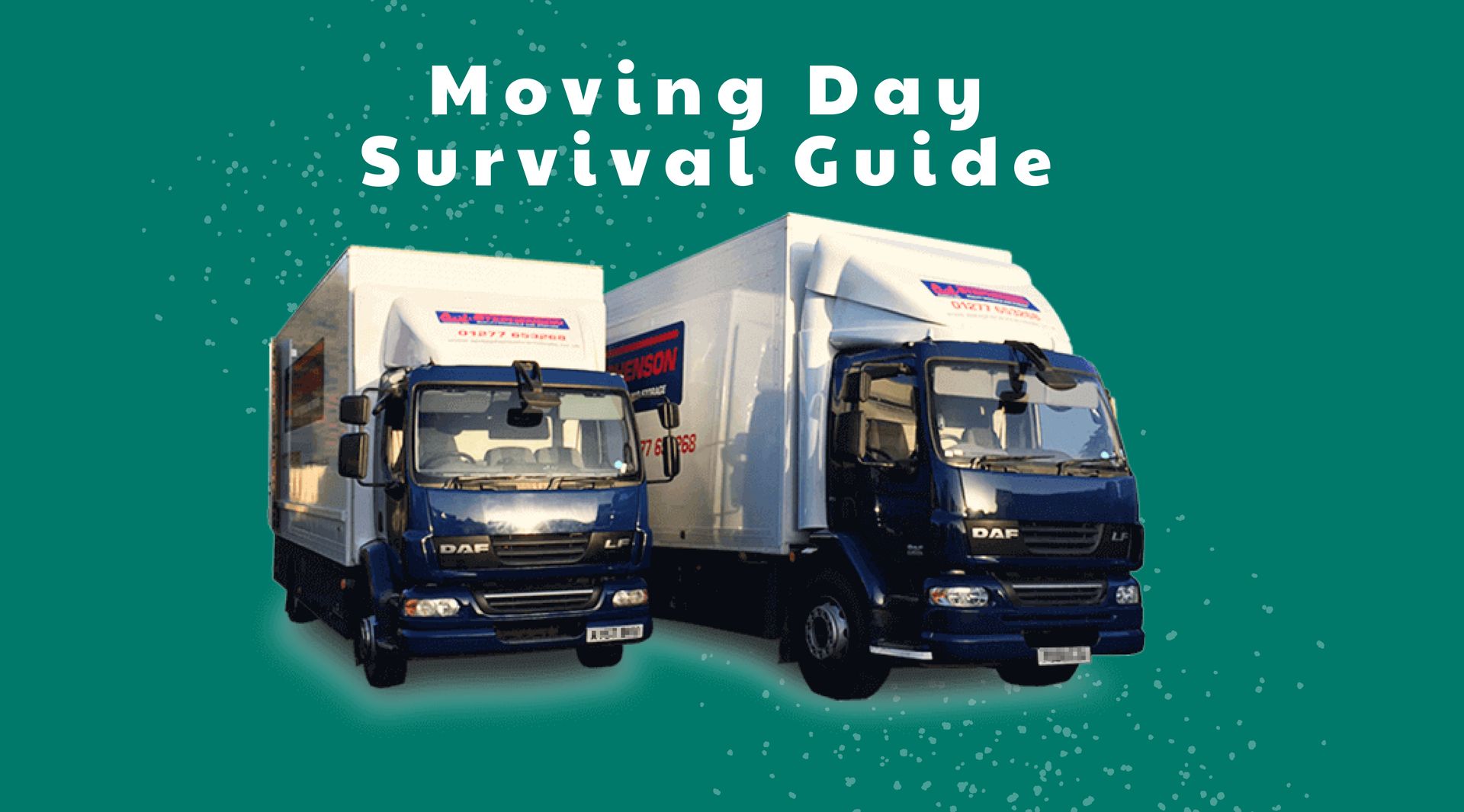 Moving Day Survival Guide: Navigating the Big Day with AJ Stephenson Removals