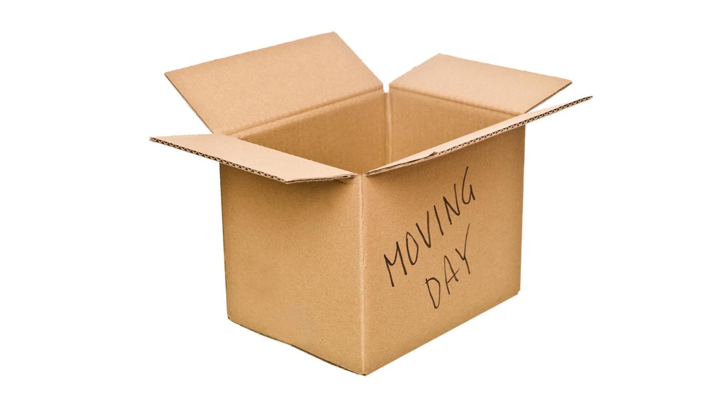 A cardboard box that says moving day on it