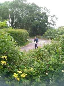 A man is walking down a road with a ladder in his hand.