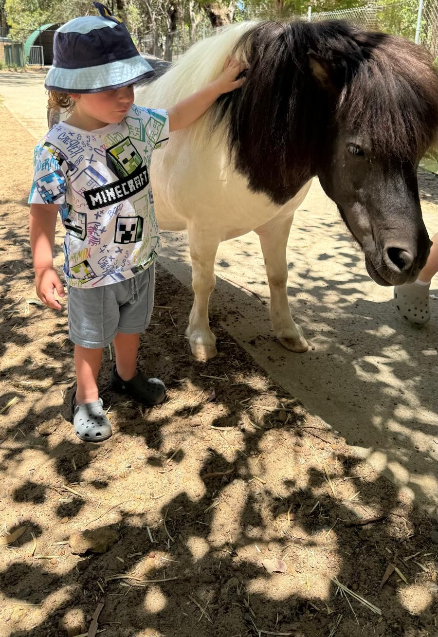 Boy petting a small black and white pony; outdoors, sunny day.