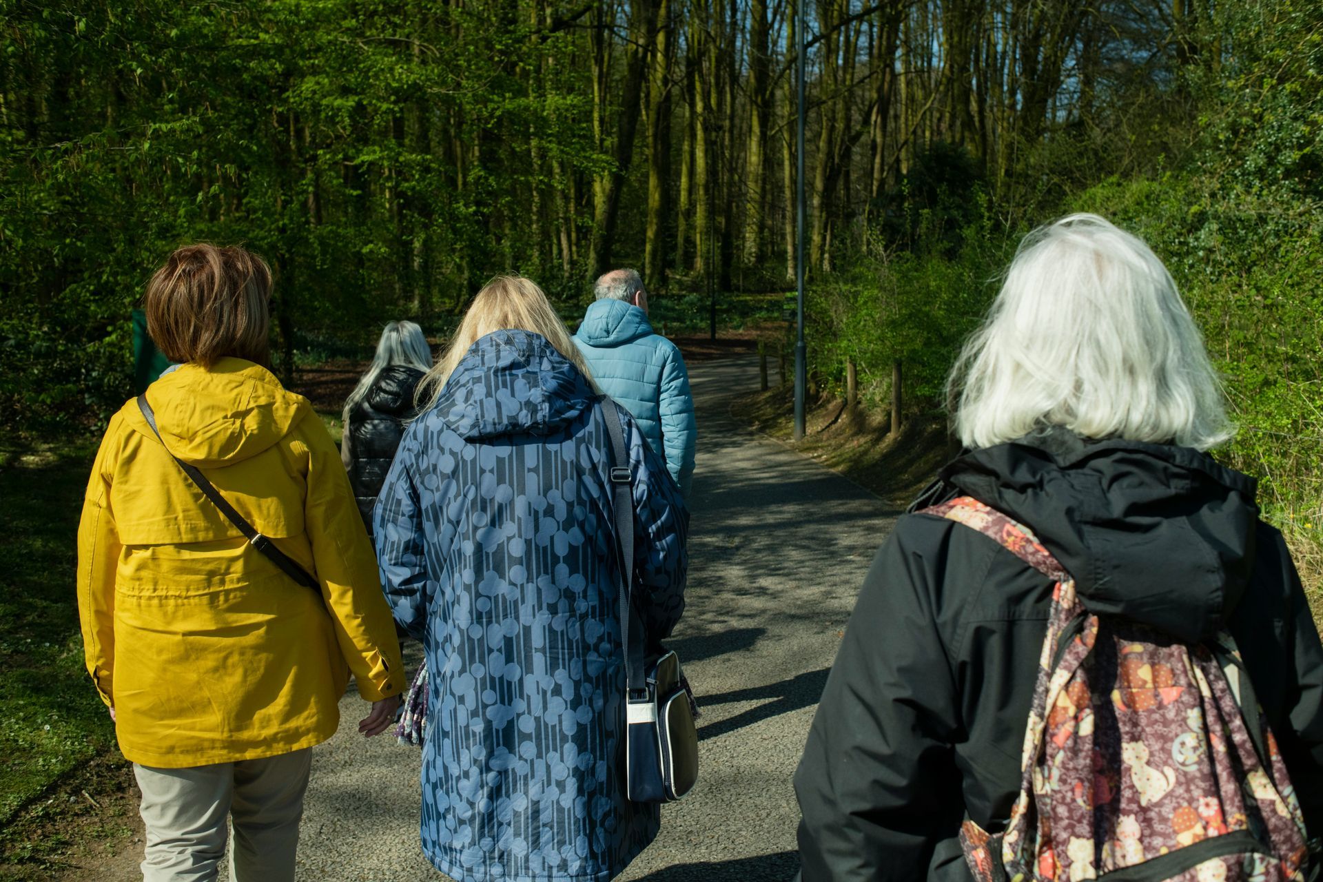 A group of people walking down a path in a forest, seen from behind.