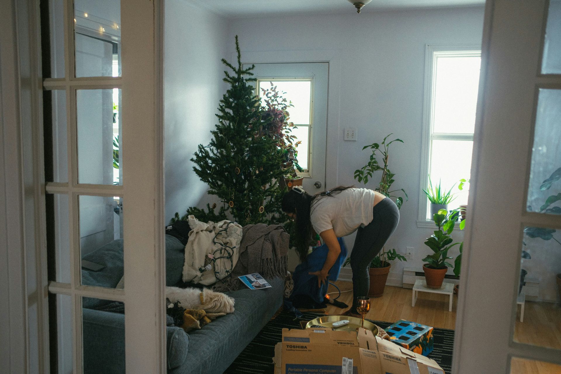 Woman setting up a Christmas tree in a bright living room.