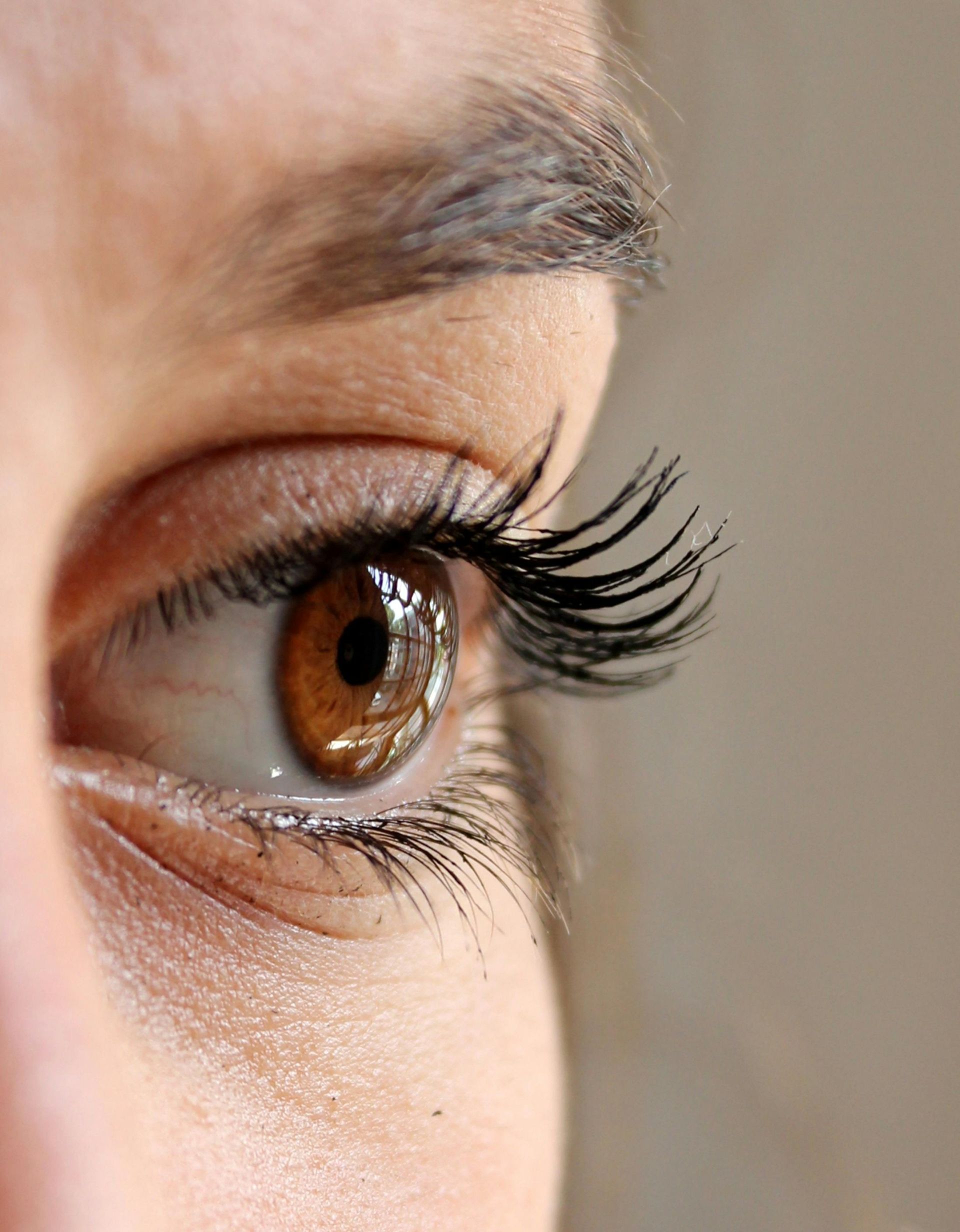 A close up of a woman 's brown eye with long eyelashes.