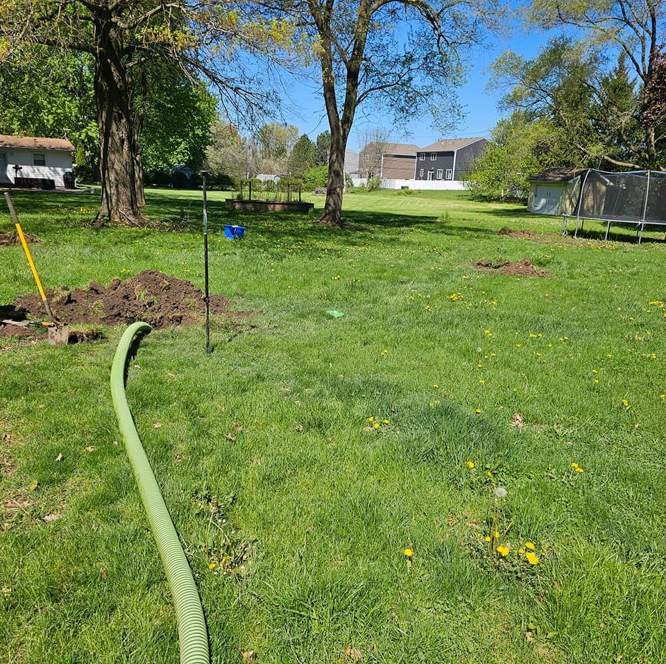 A green hose is sitting in the middle of a lush green field.