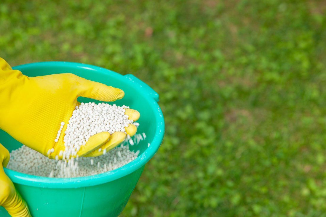 A person is pouring fertilizer into a green bucket.