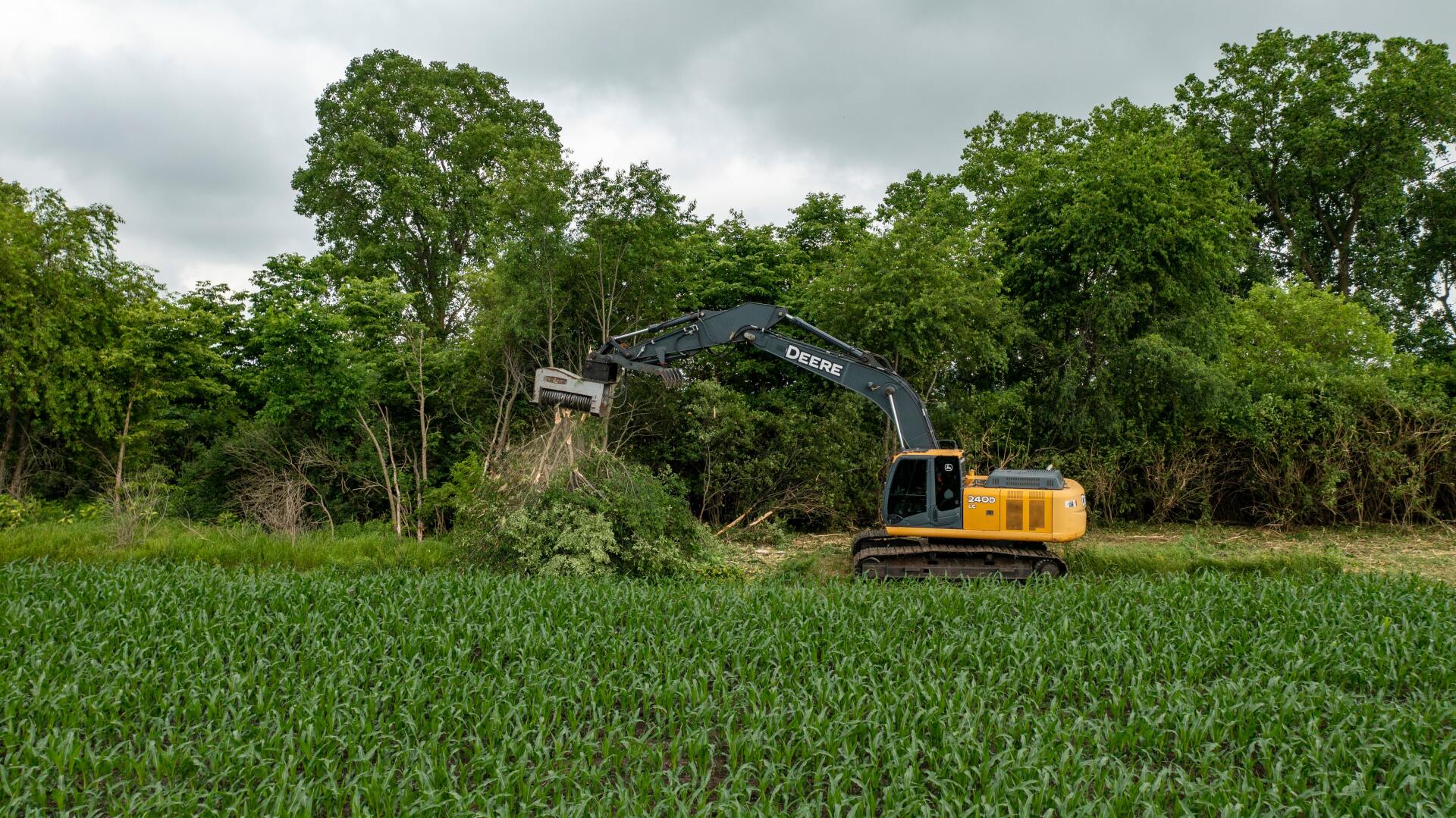 Backhoe clearing thick brush and trees in a forested area.