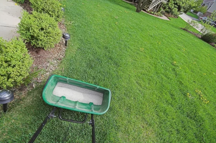 Fertilizer bag placed in a green cart within a yard, ready for use in gardening and lawn care.