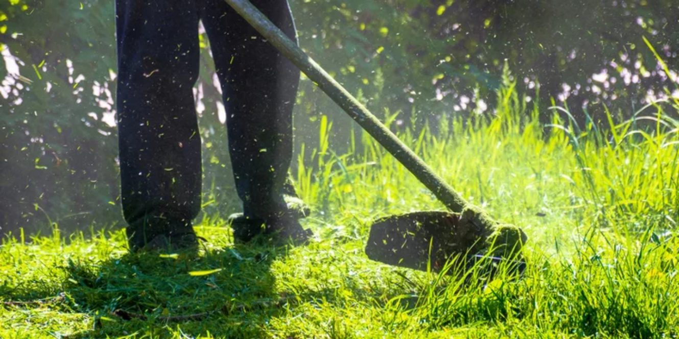 Professional grass cutting service ensuring a neatly manicured yard.