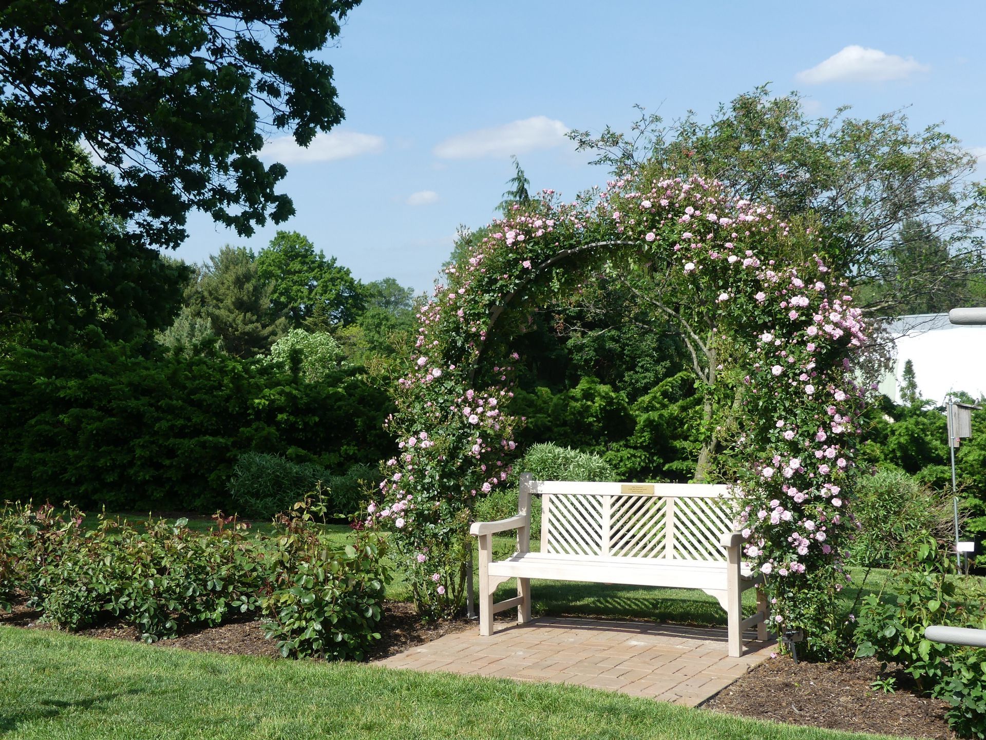 White bench nestled in a garden, overlooking a vibrant, lush green field.