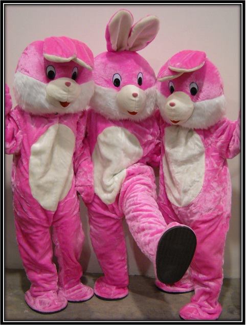 Let's Party | Mascot Rental