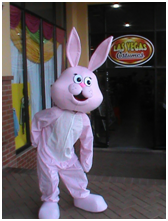 Let's Party | Mascot Rental