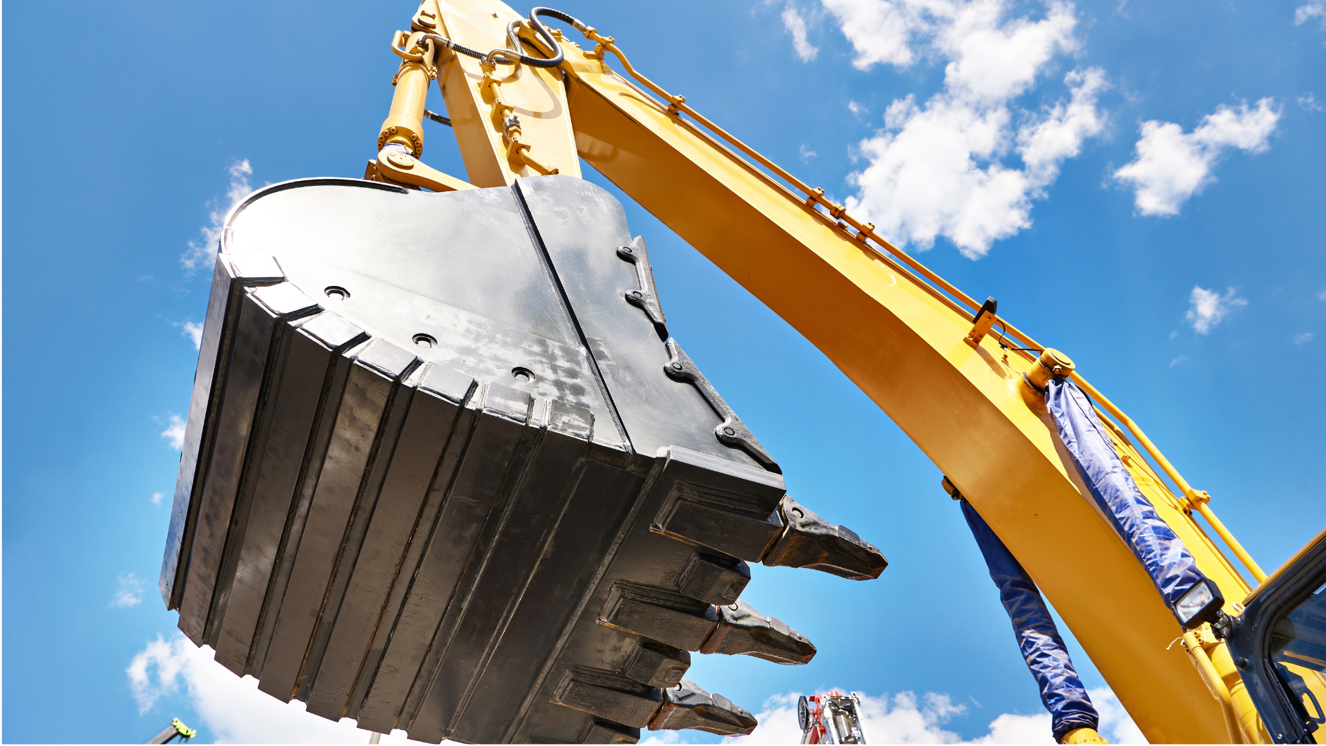 A pond in a park with trees reflected in the water.