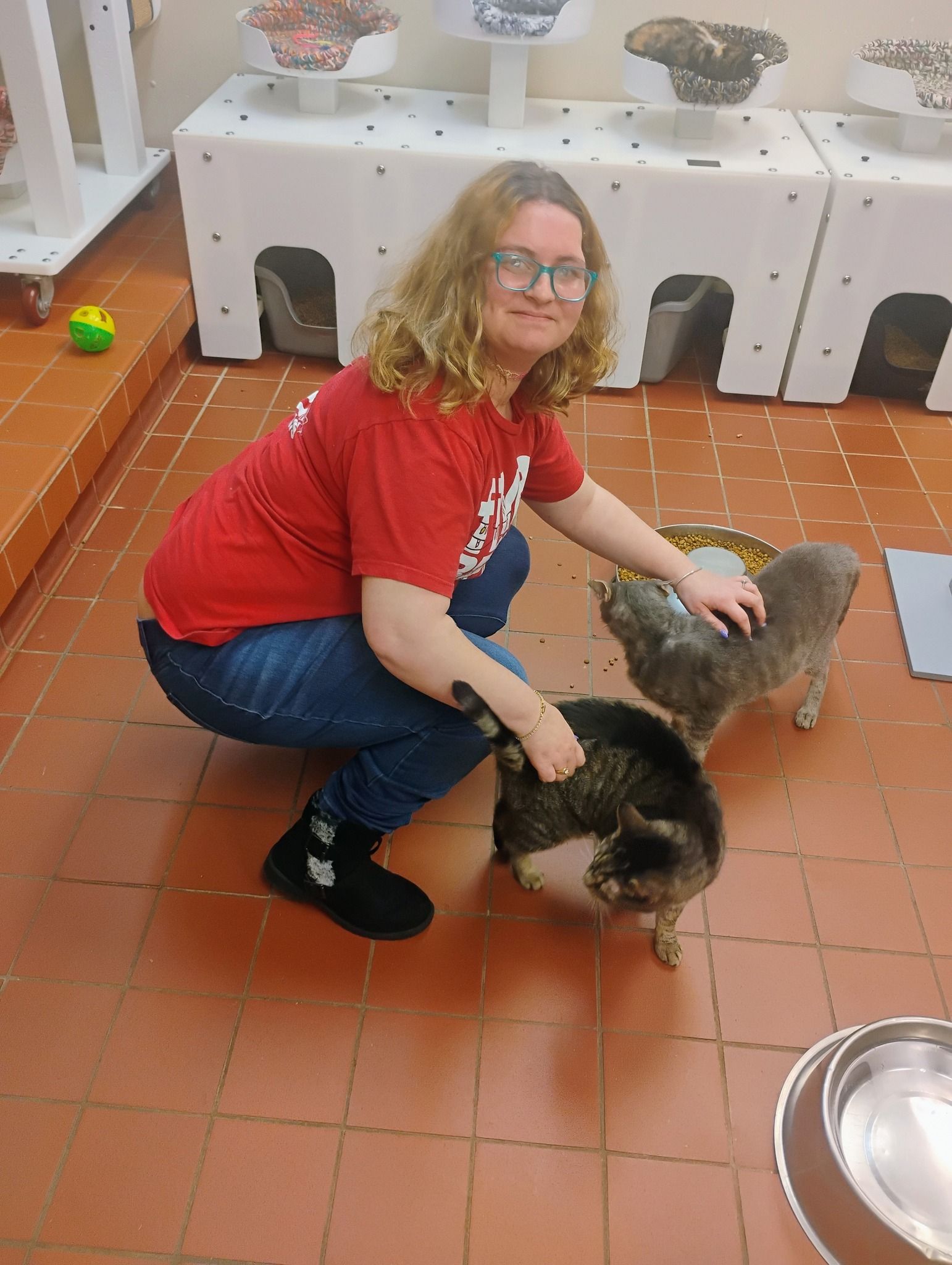 Cheyenne visiting the Wicomico Humane Society (2025)