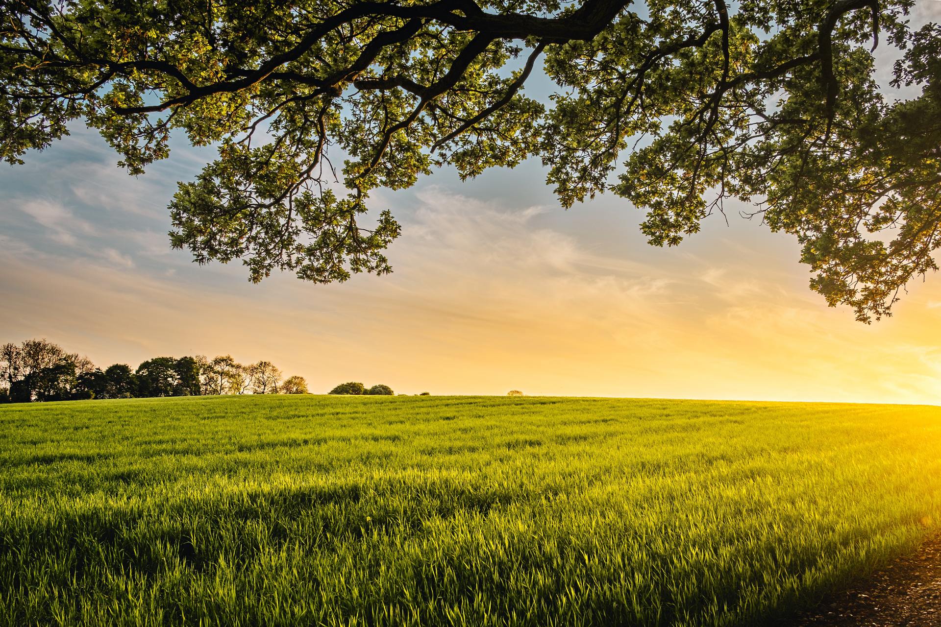 Farm Stock Photo by Benjamin Davies on Unsplash