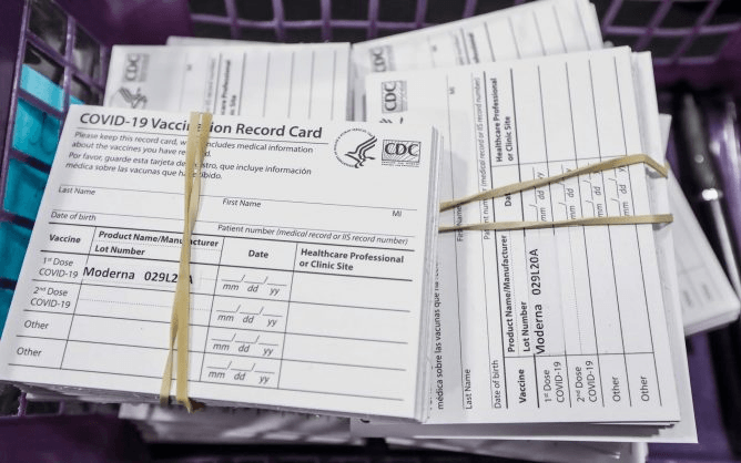 A stack of vaccine cards wait to be handed out after individuals receive their Moderna COVID-19 vaccines. (Kimberly P. Mitchell/Detroit Free Press/TNS)