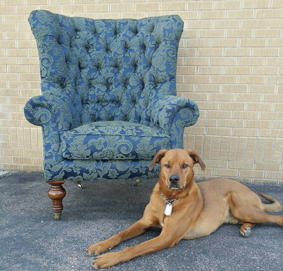 Foam Library - Rocky Mountain Upholstery