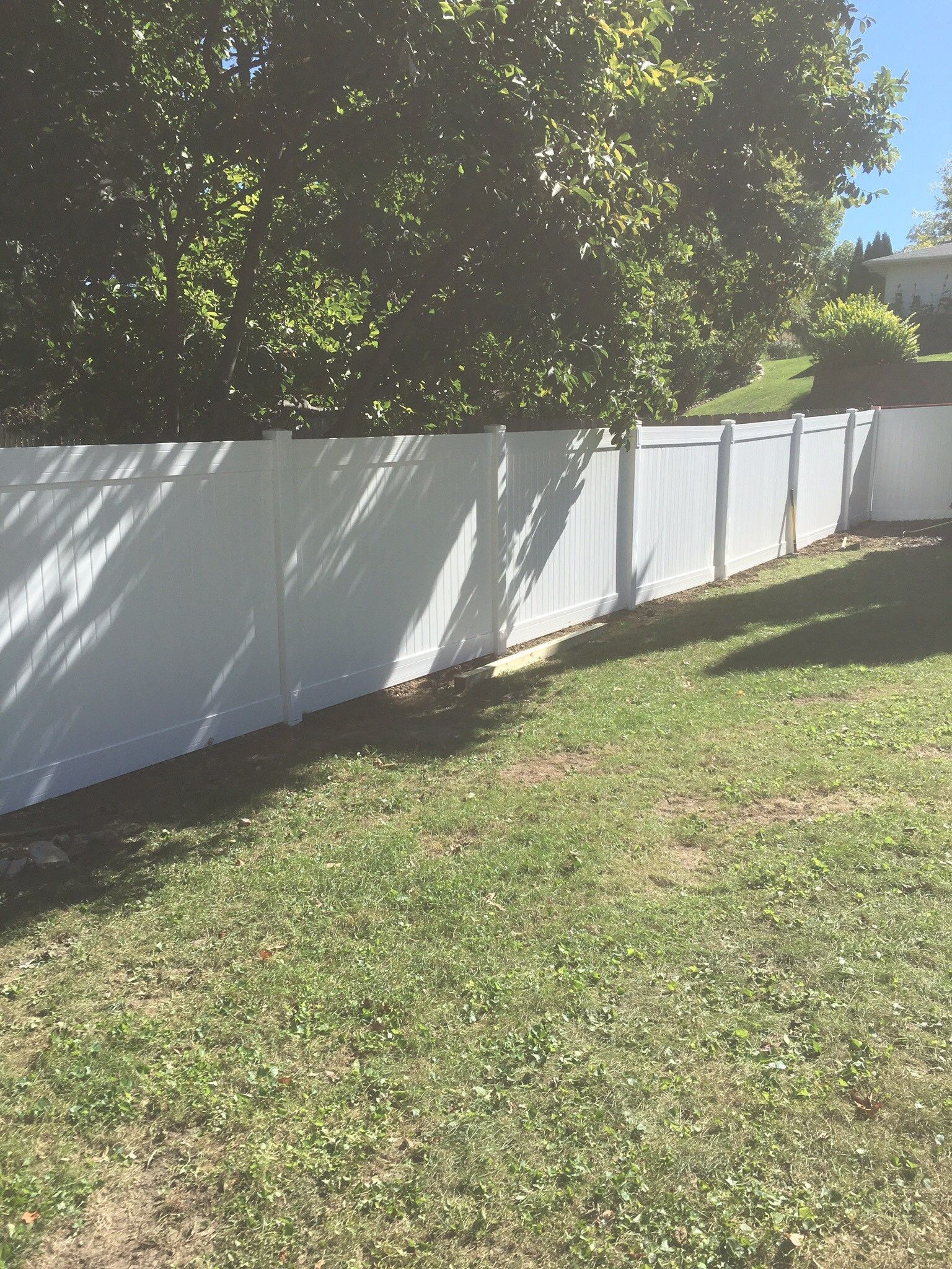 White vinyl fence in a grassy yard, with trees in the background under a sunny sky.