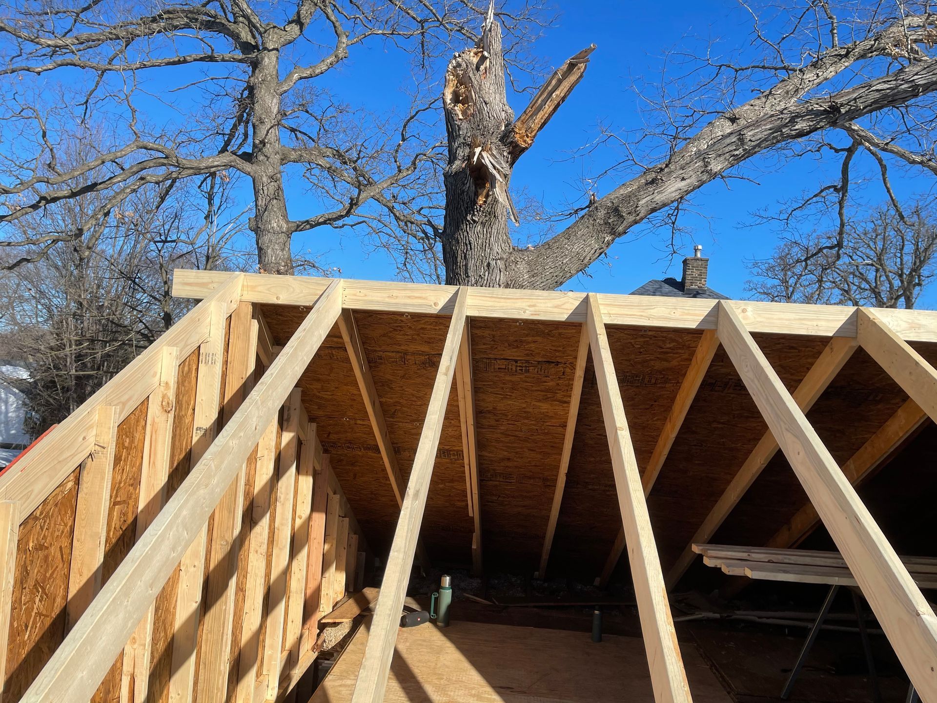 Wooden roof frame under construction with a large tree trunk visible through the roof's opening.