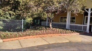 Planting — Lawn Maintenance in Hickory, NC