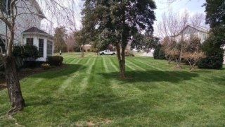 Newly trimmed grass — Lawn Maintenance in Hickory, NC