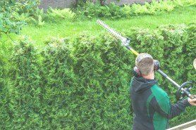 Professional hedges cutting — Landscape Services in Hickory, NC