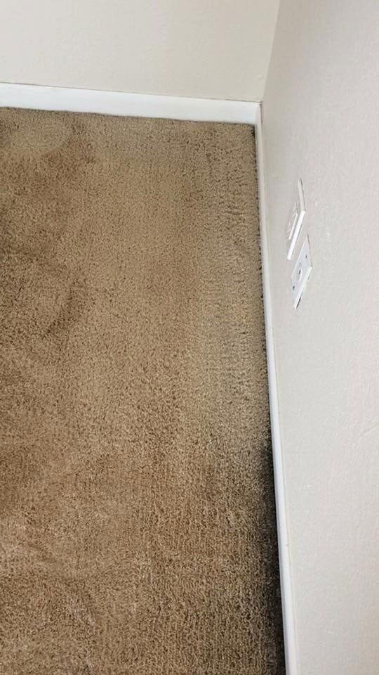 A corner of a room with a brown carpet and a white wall.