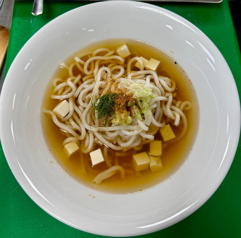 Udon noodle soup in a white bowl. Cubed tofu, scallions, and herbs float in the broth.