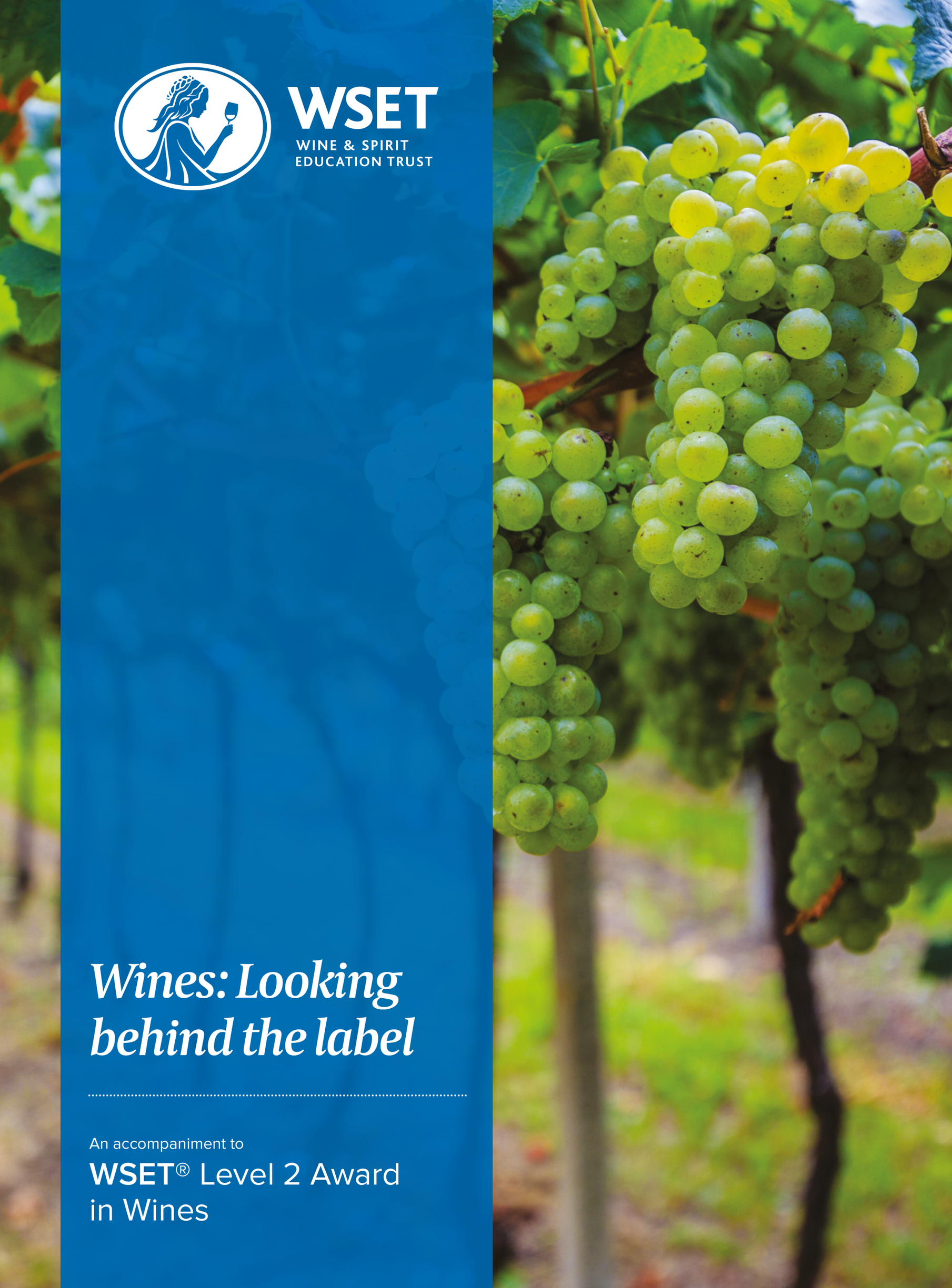 Book cover with green grapes and the WSET logo, titled 