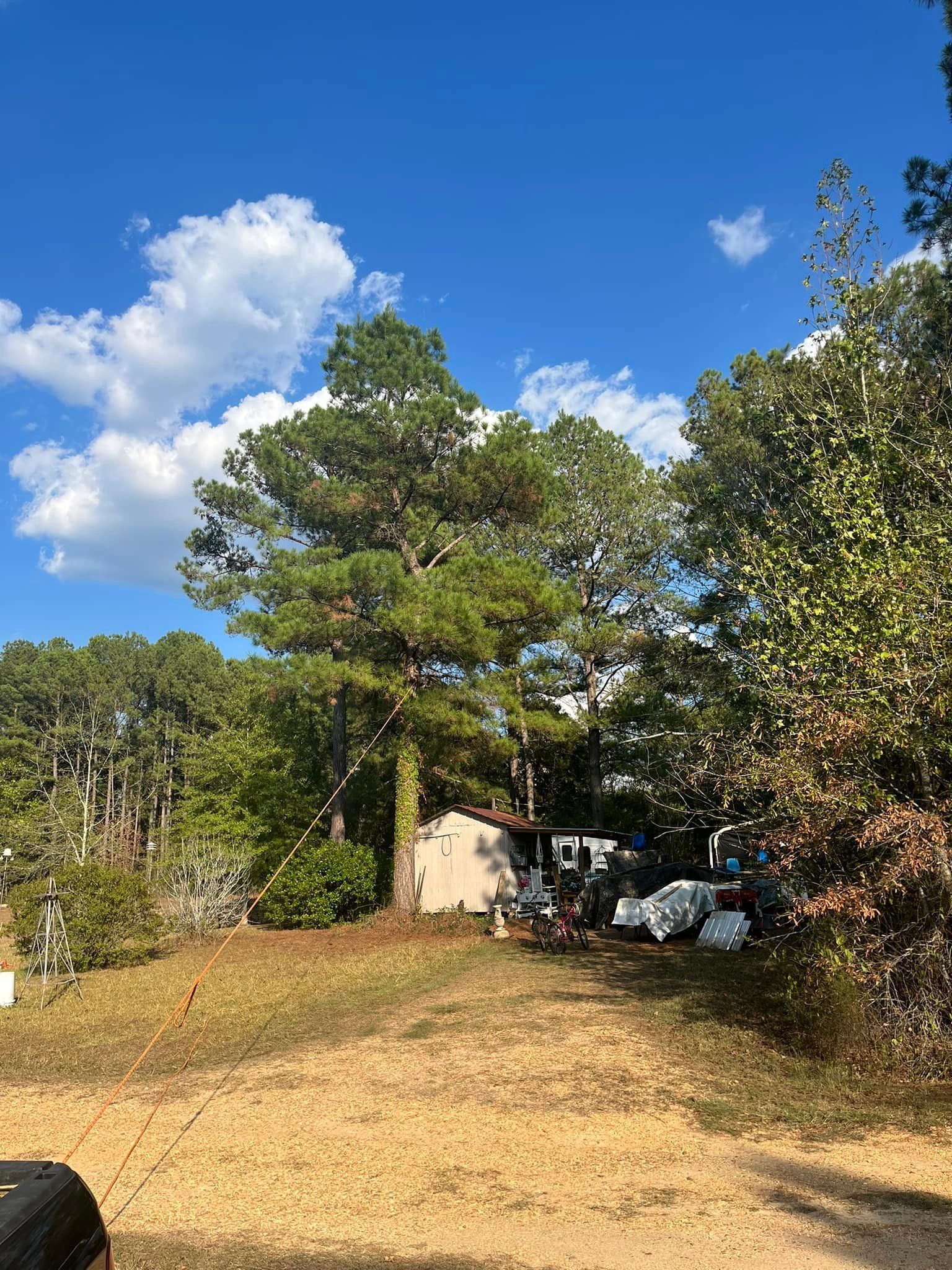 A person is standing in a field with trees and a blue sky in the background.